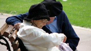 Retirement Bliss